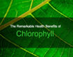 CHLOROPHYLL FOR TACKLING MOUTH AND BODY ODOUR