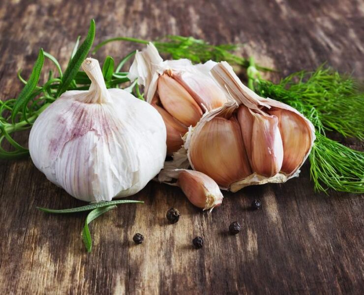 garlic